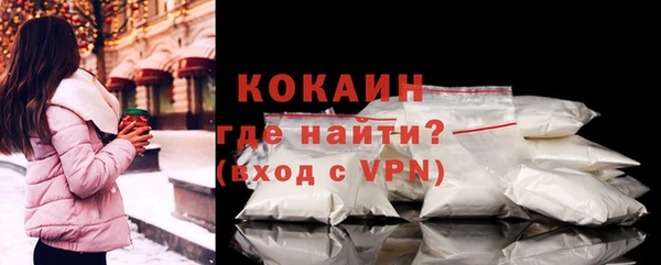 молекула духа Богданович