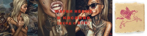молекула духа Богданович