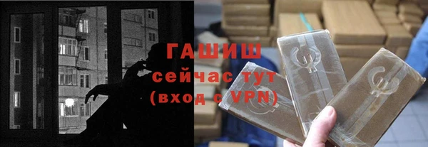 молекула духа Богданович