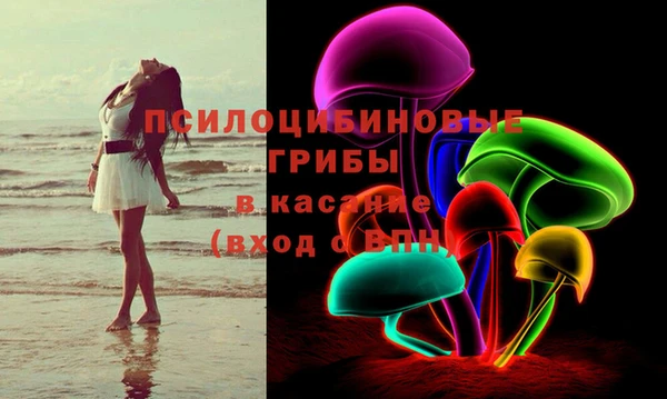молекула духа Богданович