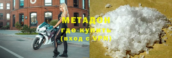 молекула духа Богданович